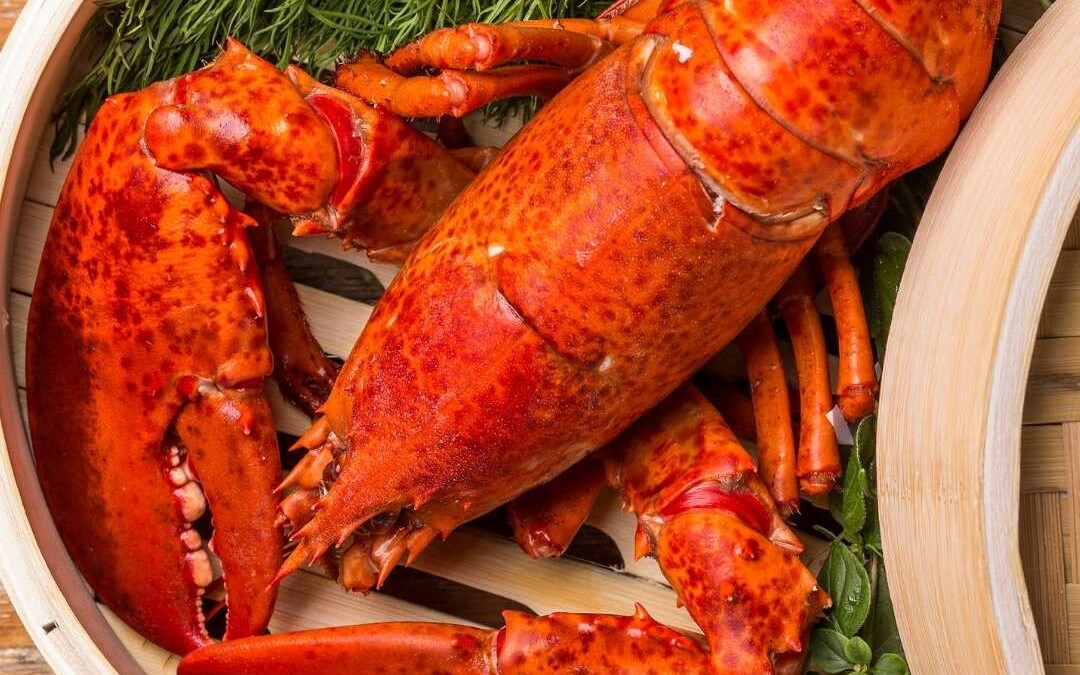 Steamed Lobster Recipe Tips for Cooking Lobster