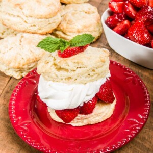 https://newenglandrecipes.com/wp-content/uploads/Strawberry-Shortcake-300x300.jpg